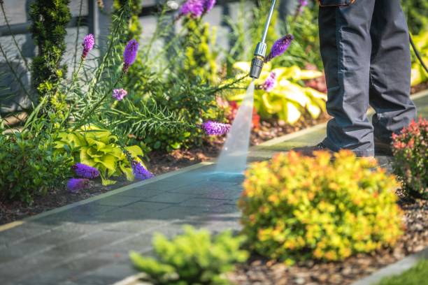 Professional Pressure Washing Services in Port Charlotte, FL